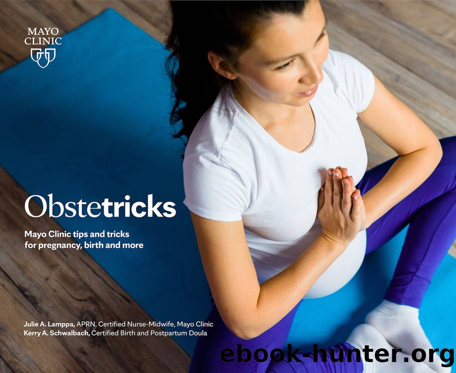 Obstetricks by Julie A. Lamppa