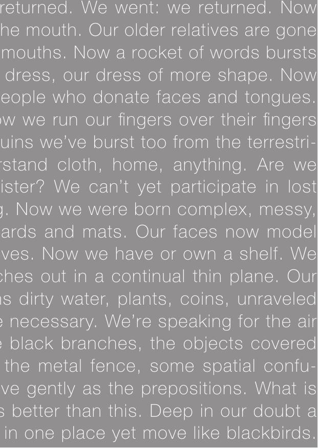 Occasional Work and Seven Walks from the Office for Soft Architecture by Lisa Robertson