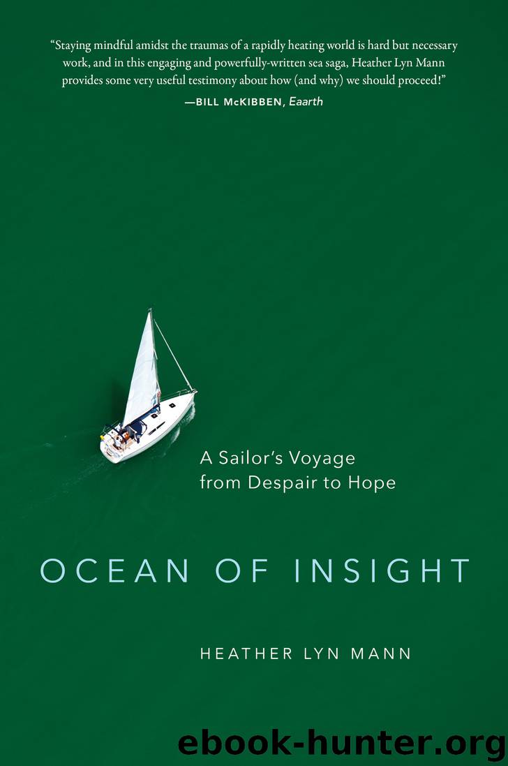 Ocean of Insight by Heather Lyn Mann