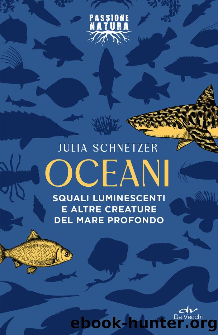 Oceani by Julia Schnetzer