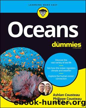 Oceans for Dummies by unknow