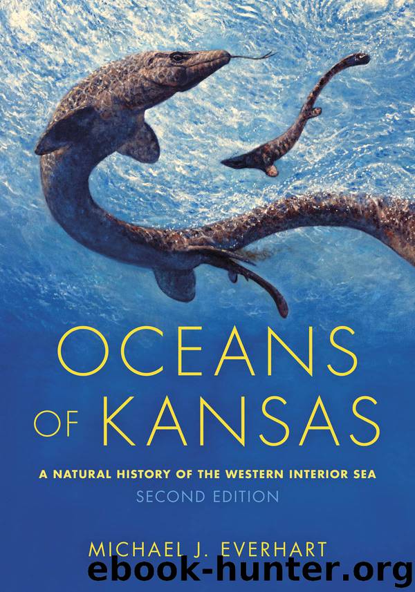Oceans of Kansas by Michael J. Everhart