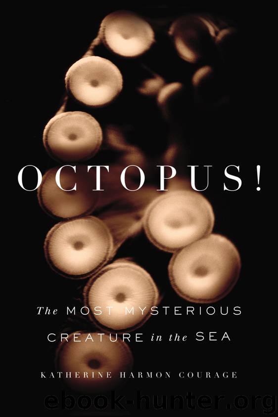 Octopus! by Katherine Harmon Courage