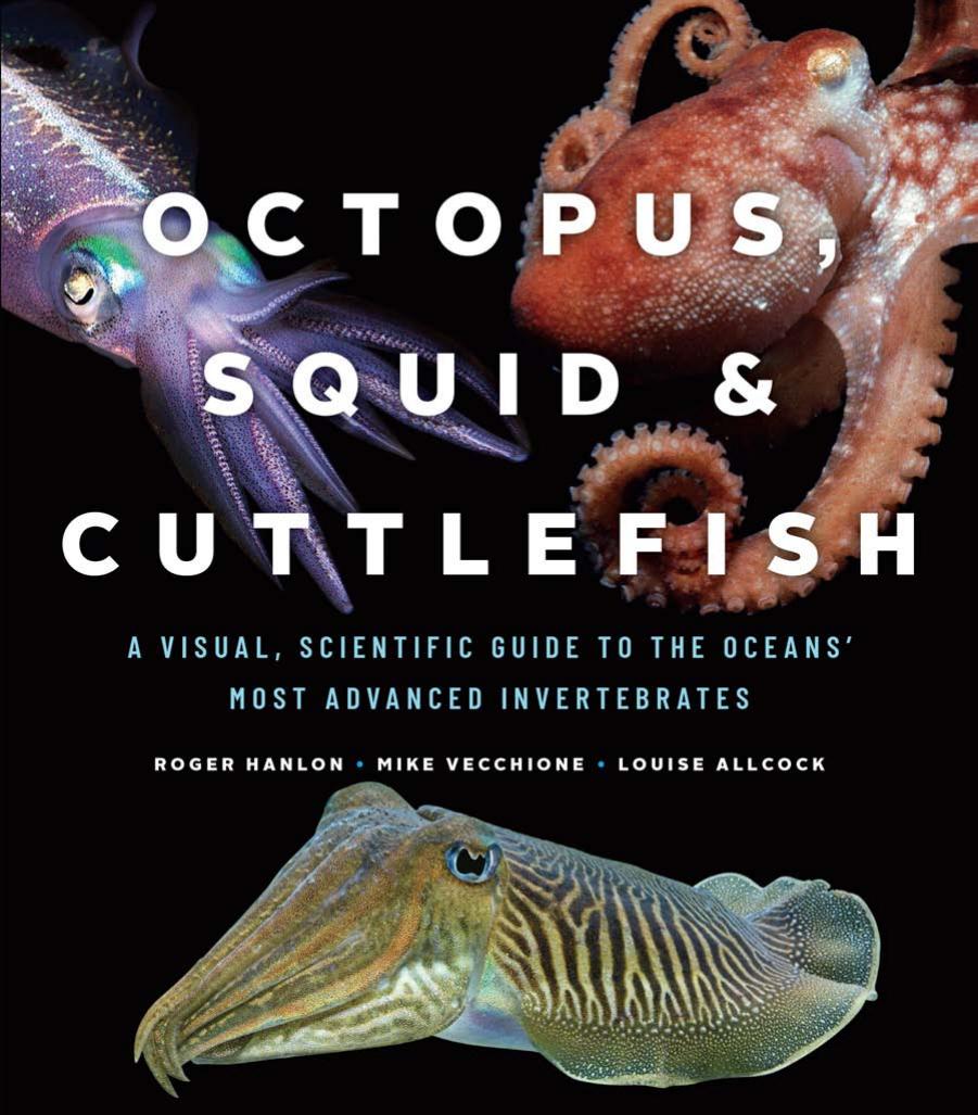 Octopus, Squid, and Cuttlefish: A Visual, Scientific Guide to the Oceansâ Most Advanced Invertebrates by Roger Hanlon with Mike Vecchione and Louise Allcock