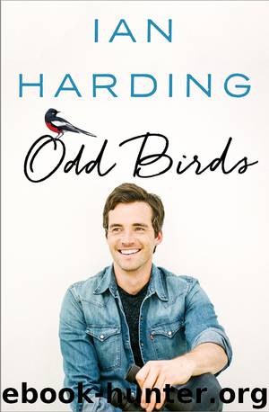 Odd Birds by Ian Harding