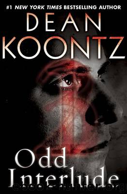 Odd Interlude by Koontz Dean