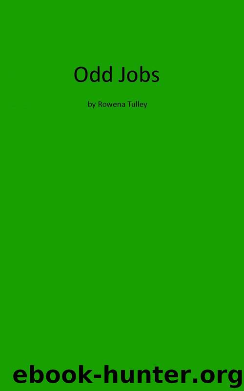 Odd Jobs (Linda Kay Daniels Adventures 3.5) by Rowena Tulley