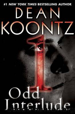 Odd Thomas 4.5 - Odd Interlude #1 by Dean Koontz