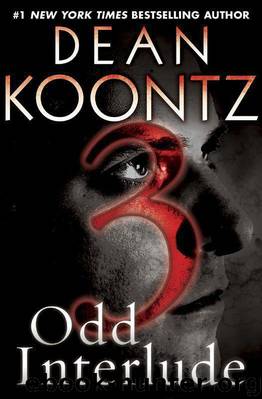 Odd Thomas 4.5 - Odd Interlude #3 by Dean Koontz