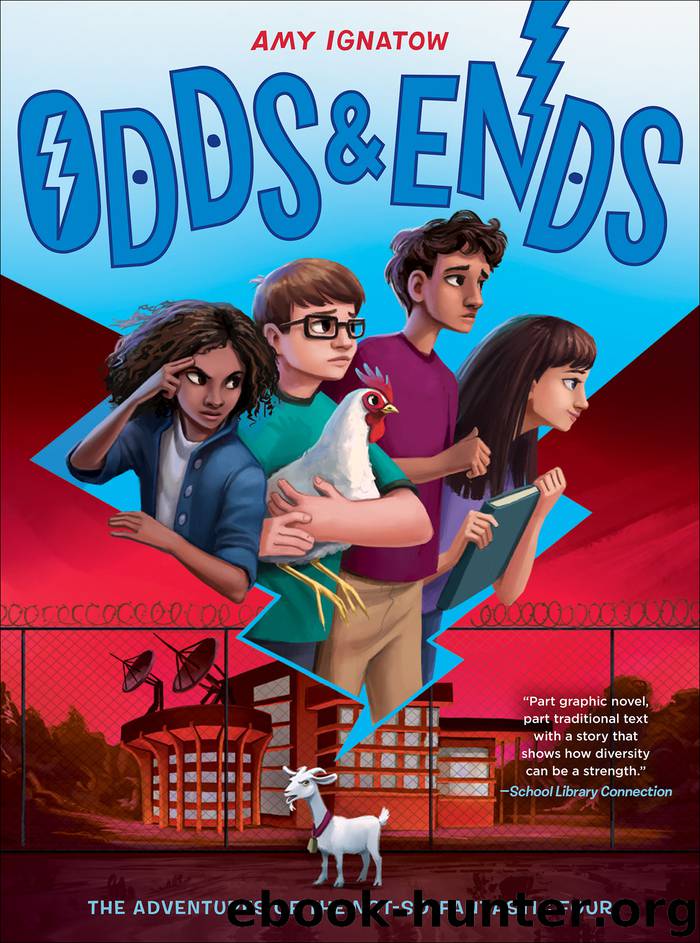 Odds & Ends by Amy Ignatow