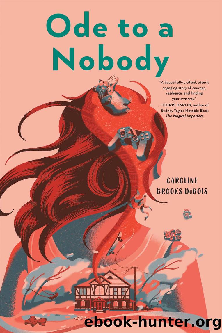 Ode to a Nobody by Caroline Brooks DuBois