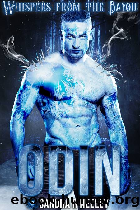 Odin by Sandra R Neeley