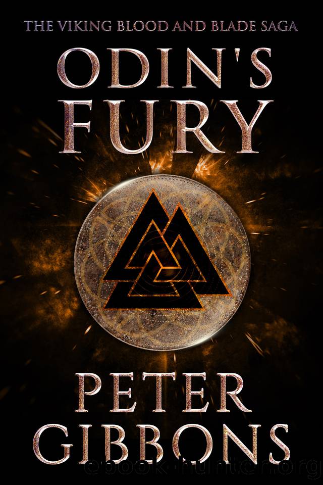 Odin's Fury: Book 10 in the Viking Blood and Blade Saga by Peter Gibbons