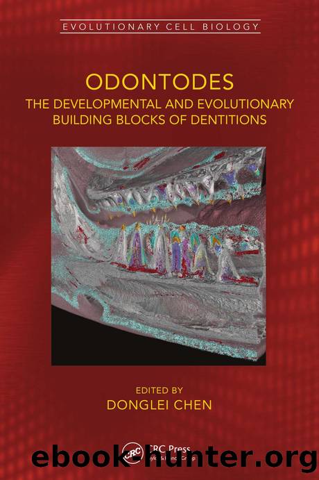 Odontodes; The Developmental and Evolutionary Building Blocks of Dentitions by Donglei Chen