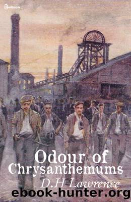 Odour of Chrysanthemums by David Herbert Lawrence