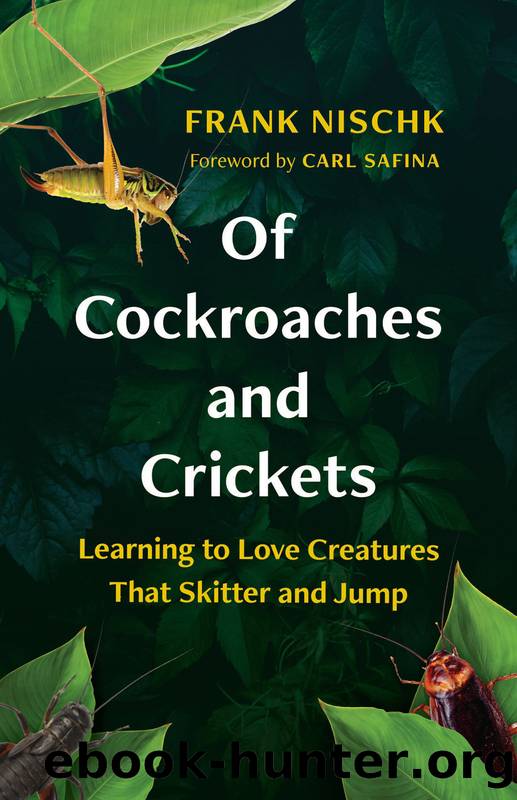 Of Cockroaches and Crickets by Frank Nischk