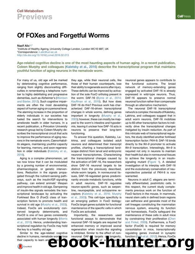 Of FOXes and Forgetful Worms by Nazif Alic