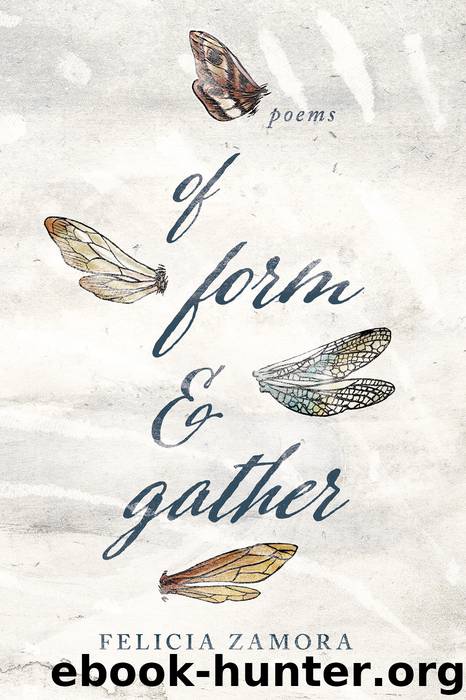 Of Form & Gather by Zamora Felicia;