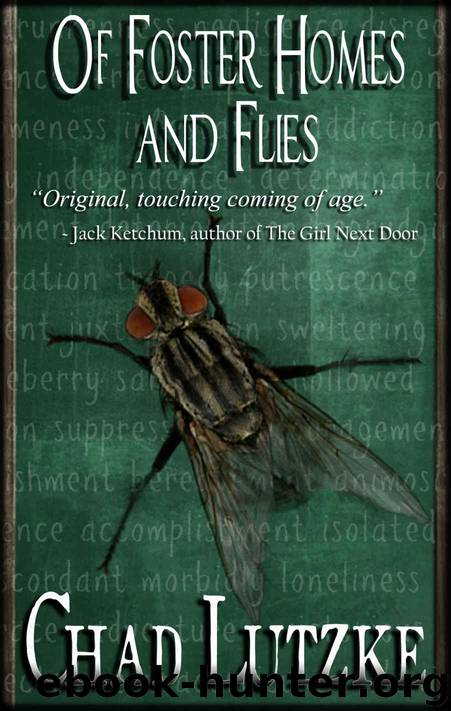 Of Foster Homes and Flies by Lutzke Chad