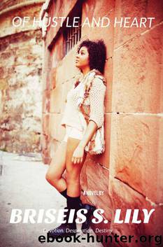 Of Hustle and Heart by Briseis S. Lily