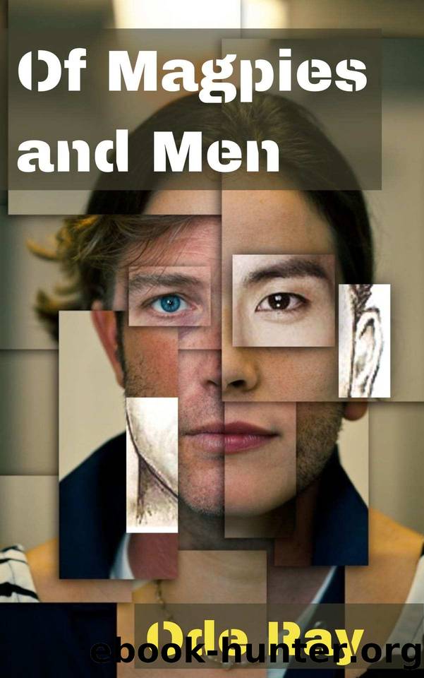 Of Magpies and Men: A gripping, witty and emotional domestic thriller, with a twist you won't see coming by Ode Ray & Ode Ray