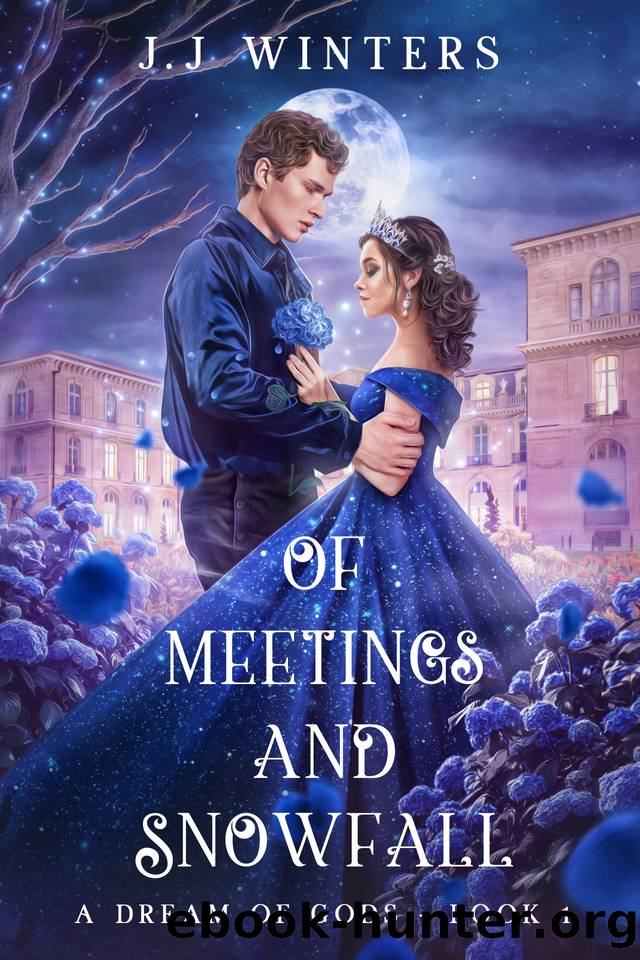 Of Meetings and Snowfall by J.J Winters