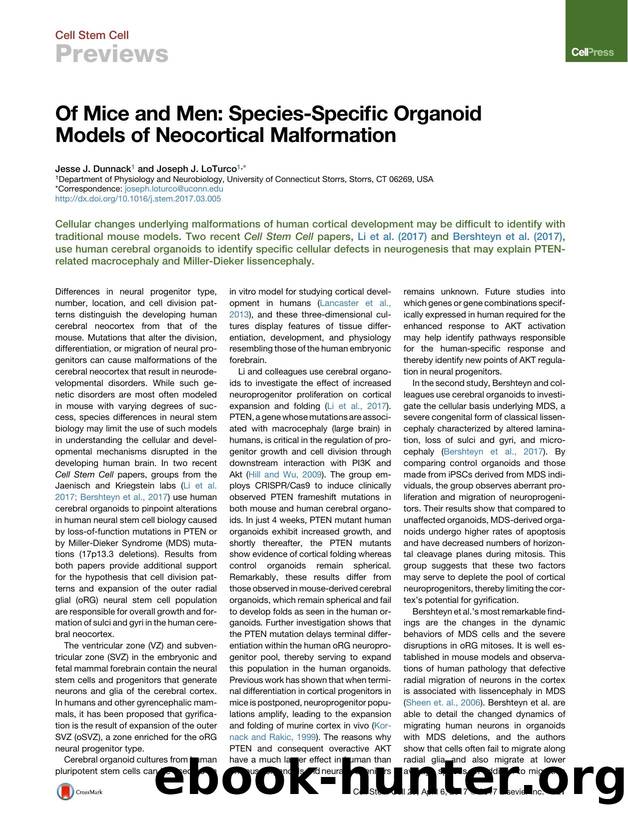 Of Mice and Men: Species-Specific Organoid Models of Neocortical Malformation by Jesse J. Dunnack & Joseph J. LoTurco