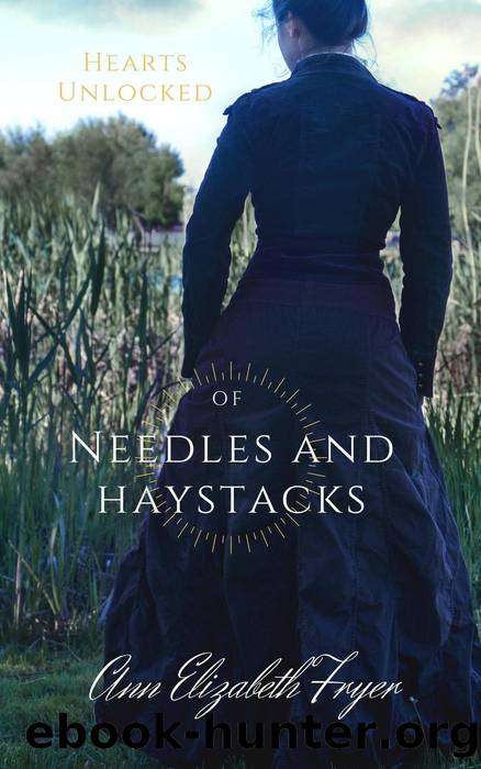 Of Needles and Haystacks by Ann Elizabeth Fryer