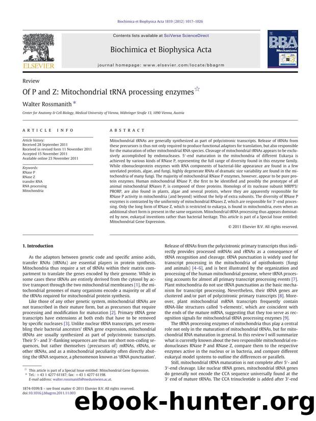 Of P and Z: Mitochondrial tRNA processing enzymes by Walter Rossmanith