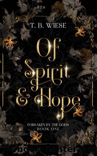 Of Spirit & Hope (Forsaken by the Gods Book 1) by T. B. Wiese