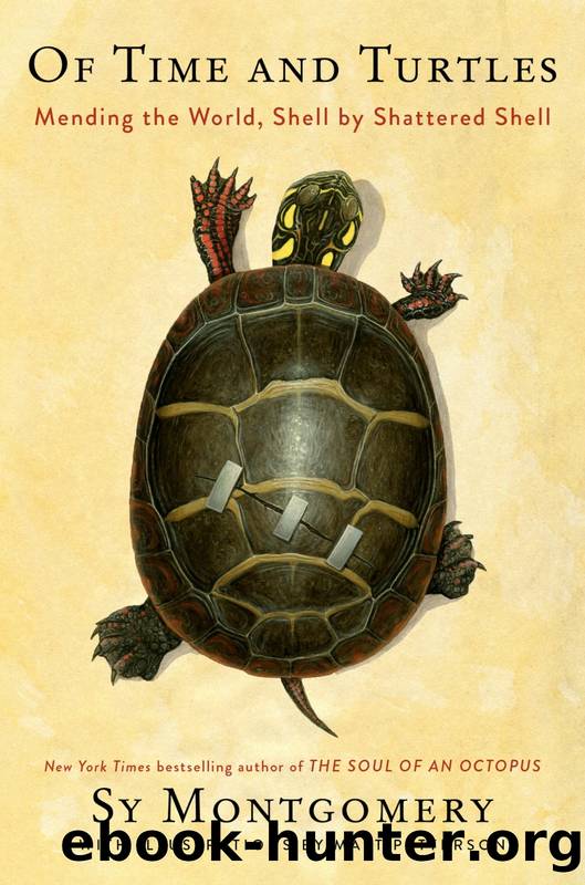 Of Time and Turtles: Mending the World, Shell by Shattered Shell by Sy Montgomery