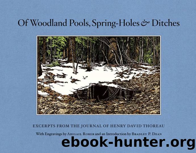 Of Woodland Pools, Spring-Holes and Ditches by Henry David Thoreau