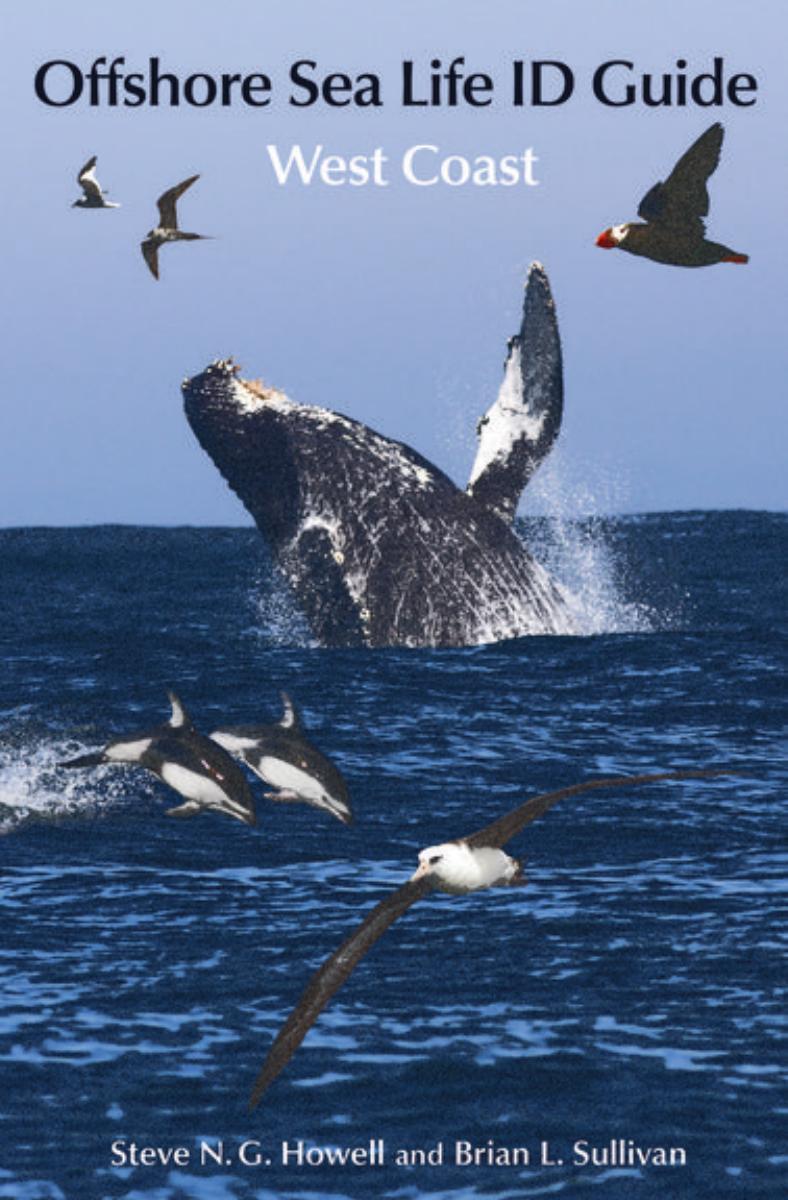 Offshore Sea Life ID Guide by unknow