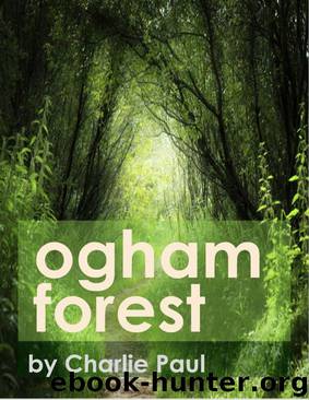 Ogham Forest by Charlie Paul