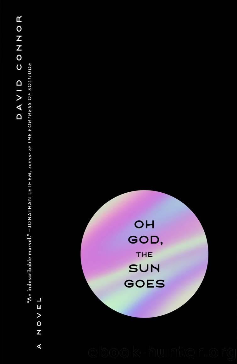 Oh God, the Sun Goes by David Connor