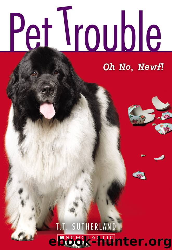 Oh No, Newf! by Tui T. Sutherland