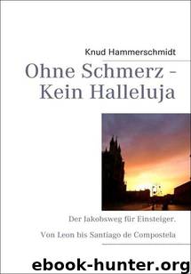 Ohne Schmerz - Kein Halleluja by Hammerschmidt Knud