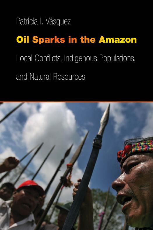 Oil Sparks in the Amazon: Local Conflicts, Indigenous Populations, and Natural Resources by Patricia I Vasquez