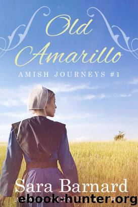 Old Amarillo~Amish Journeys by Sara Barnard