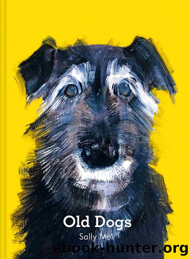 Old Dogs by Sally Muir