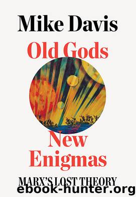 Old Gods, New Enigmas by Mike Davis