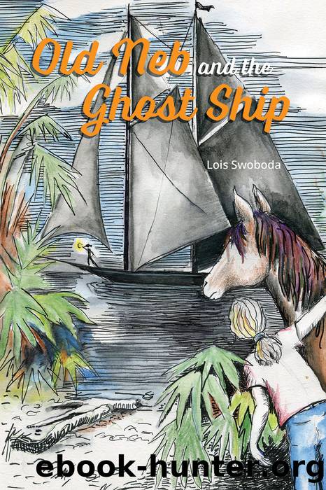 Old Neb and the Ghost Ship by Swoboda Lois;Wallace Leslie;