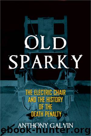 Old Sparky by Anthony Galvin