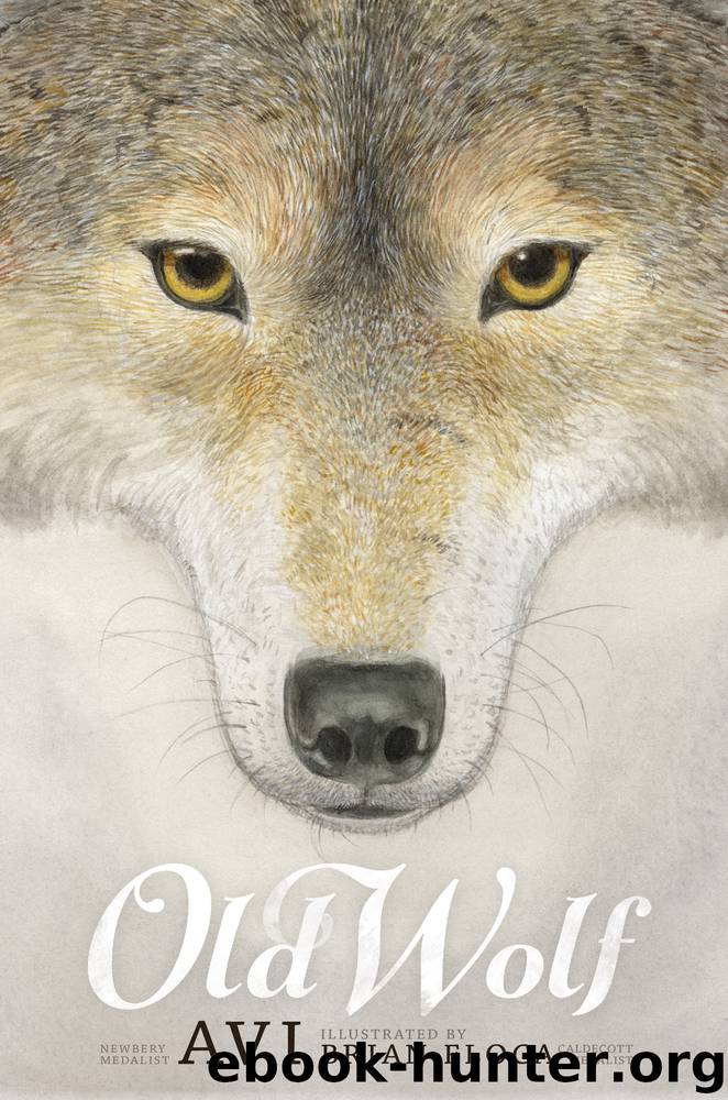 Old Wolf by Avi