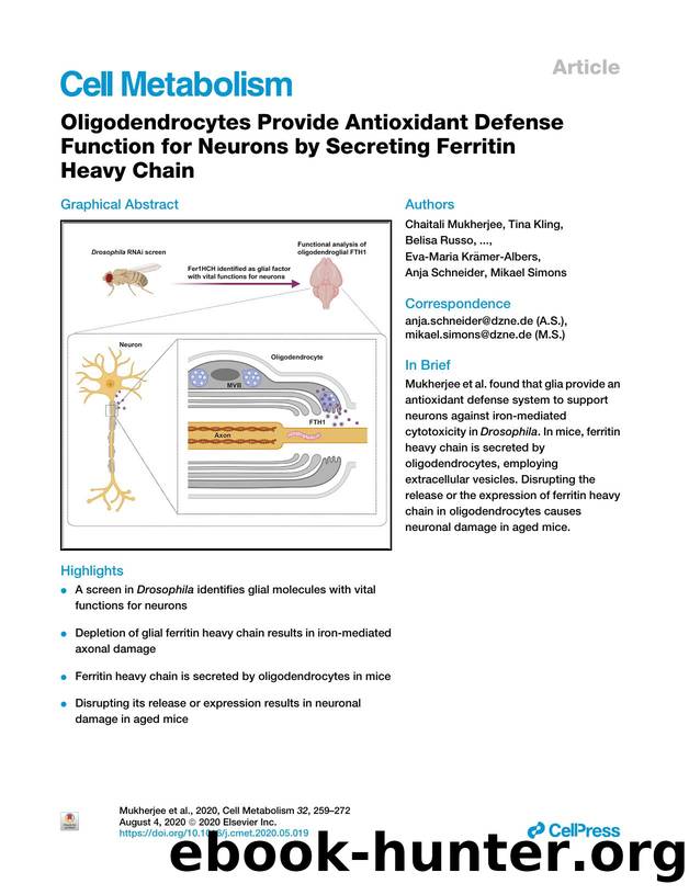Oligodendrocytes Provide Antioxidant Defense Function for Neurons by Secreting Ferritin Heavy Chain by unknow