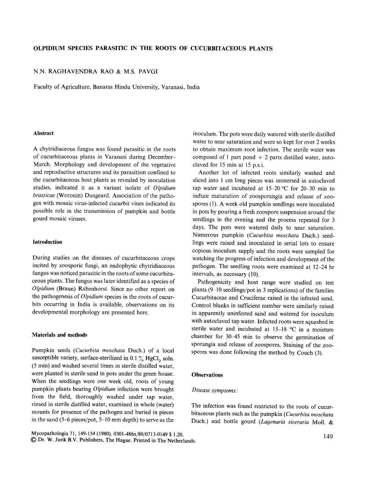 Olpidium species parasitic in the roots of cucurbitaceous plants by Unknown
