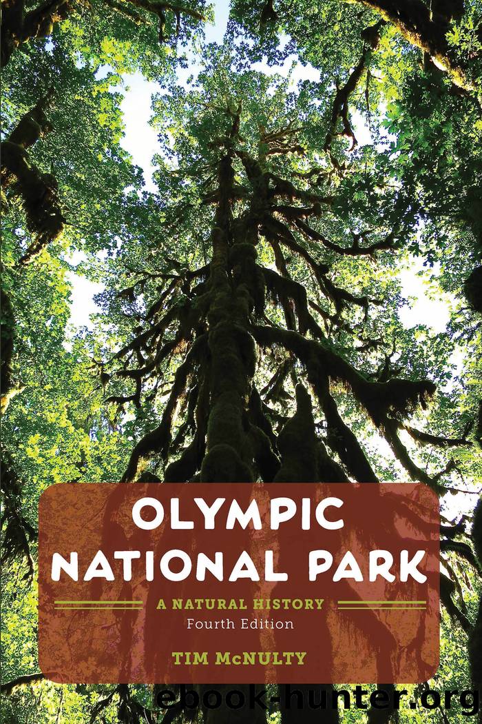Olympic National Park by McNulty Tim