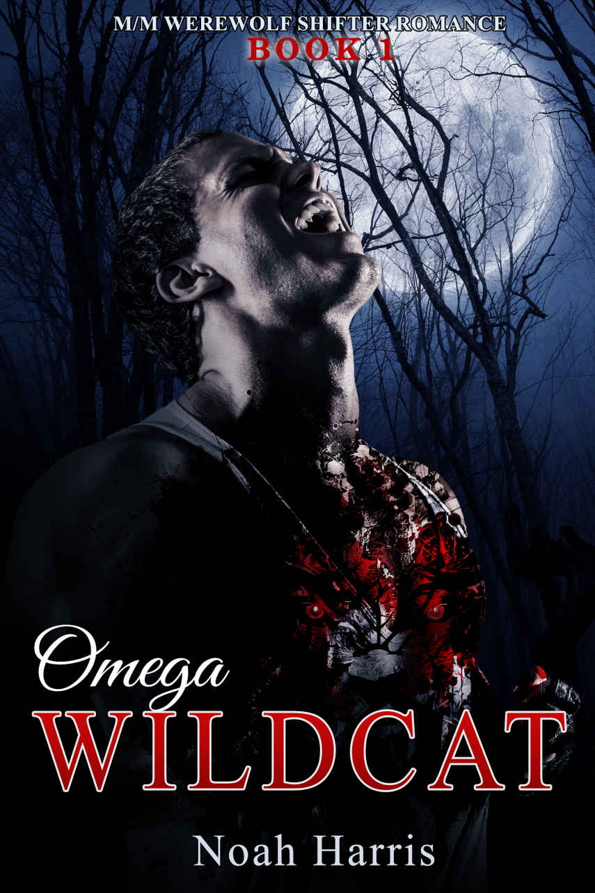Omega Wildcat: M/M Werewolf Romance by Noah Harris