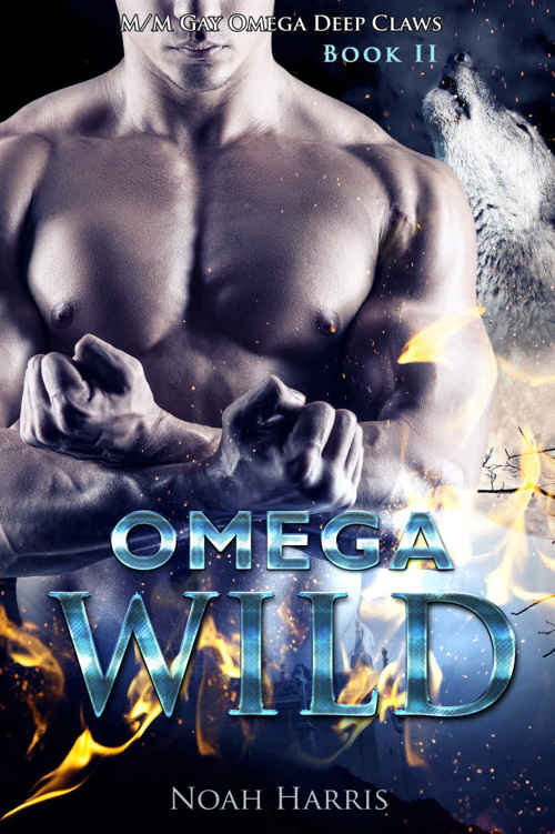 Omega: Wild (M/M GAY OMEGA DEEP CLAWS Book 2) by Noah Harris