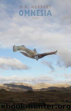 Omnesia (remix) by Herbert W.N.;